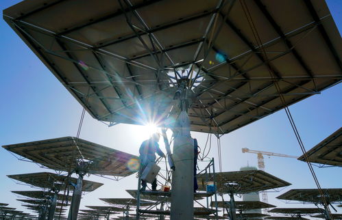 中国可再生能源装机量领跑全球，外媒聚焦高质量发展路径